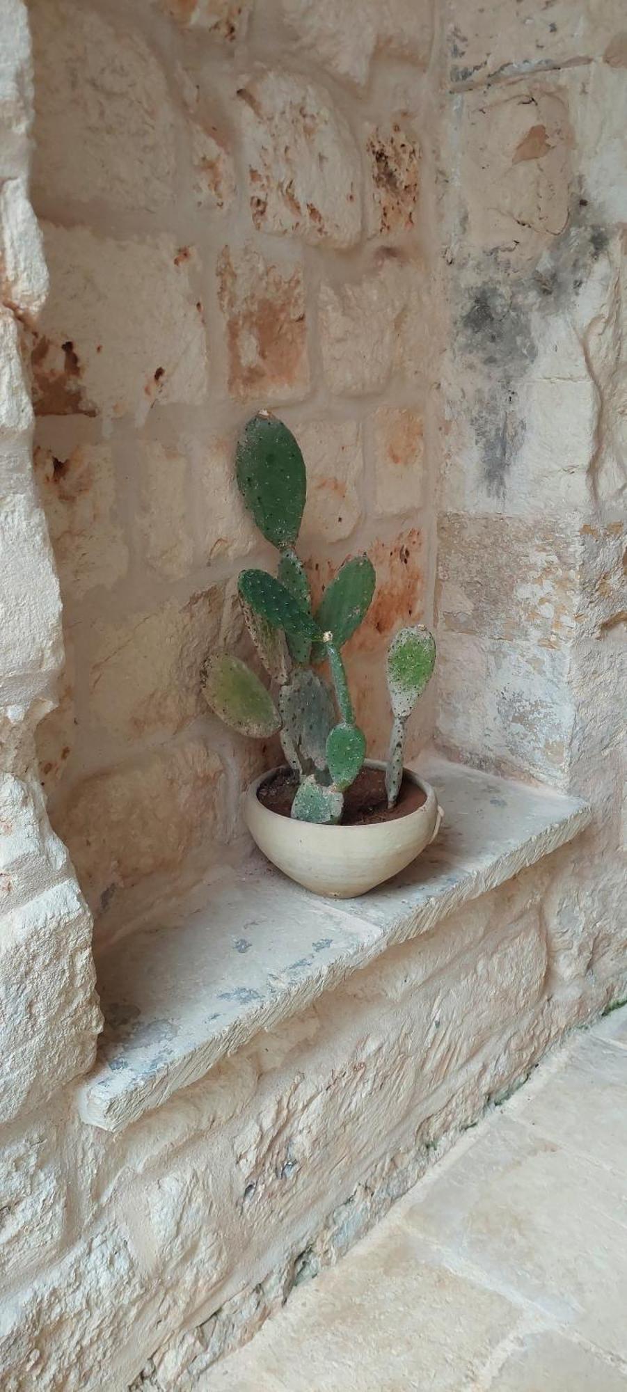 Casa Verde - La Corte dei Colori Spongano Esterno foto